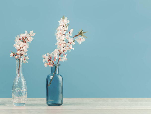 Spring or summer festive blooming with white flowers fruit tree branches in two small glass vases against tender blue background. Fresh floral wide background banner with copy space - Foto, imagen