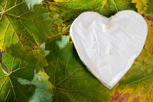 un corazón francés en forma de queso Neufchatel en hojas de otoño - Foto, Imagen