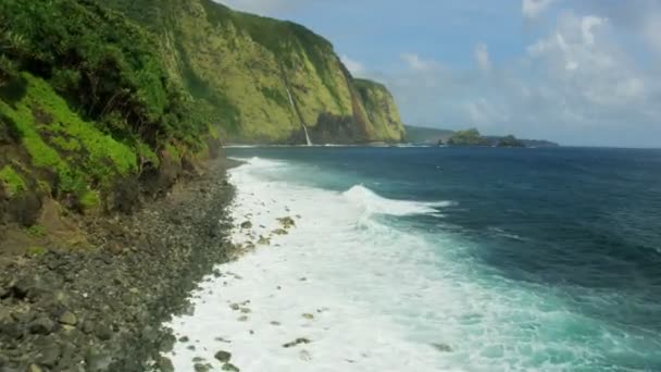 Tropikal yağmur ormanlarının havadan görünüşü Hawaii kayalıklarını sallıyor - Video, Çekim