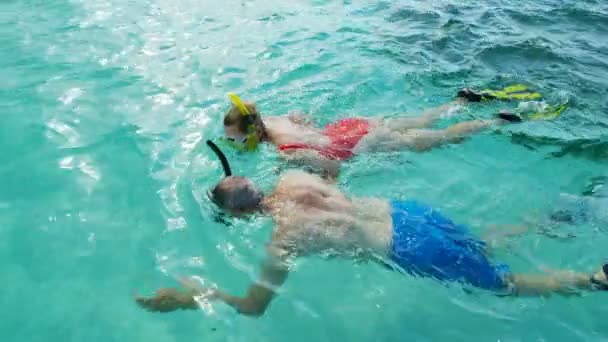 Aktywni seniorzy nurkowanie i pływanie na Bahamach morskich - Materiał filmowy, wideo
