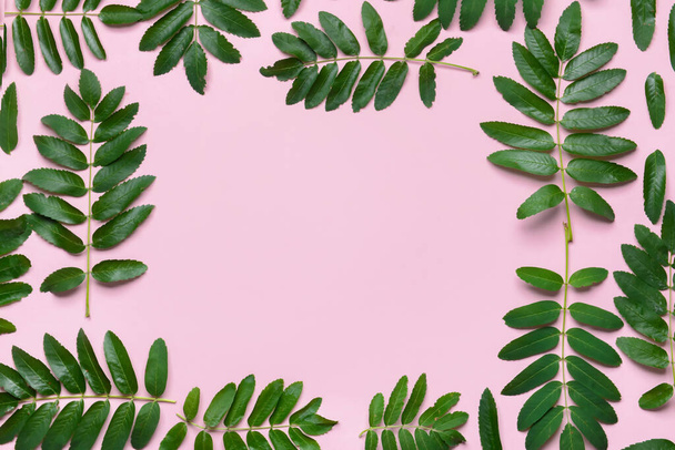 Каркас з зеленого листя суниці на кольоровому фоні
 - Фото, зображення