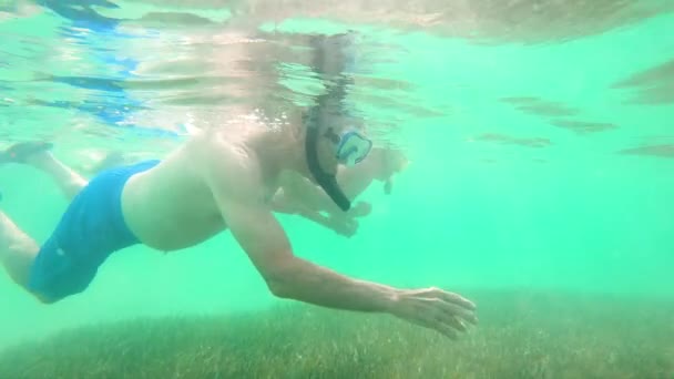 Fit senior Caucasian couple snorkeling underwater together Bahamas - Footage, Video