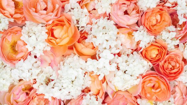 Pevná textura se skutečnými květy růží a hortenzie v oranžových odstínech. Botanické pozadí pro šablony pro květinový design s kopírovacím prostorem. - Fotografie, Obrázek