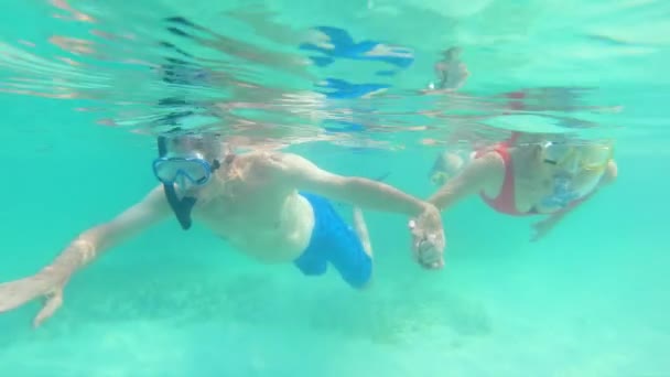 Fit mężczyzna i kobieta seniorzy nurkowanie pod wodą Bahamy - Materiał filmowy, wideo
