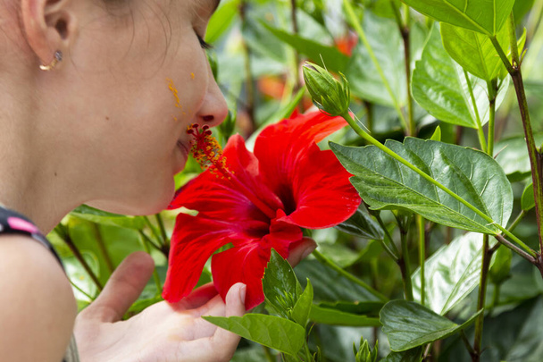girl sniffs hibiscus. close - up of a girl's face inhaling the aroma of a red tropical flower. yellow pollen on the cheek of the face - Photo, Image
