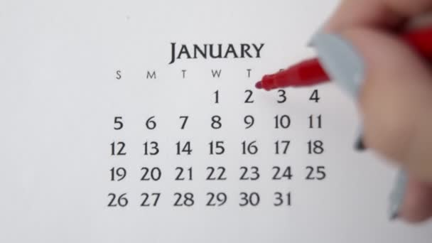 Día de círculo de la mano femenina en la fecha del calendario con un marcador rojo. Conceptos básicos de negocio Wall Calendar Planner and Organizer. 2 DE ENERO - Metraje, vídeo