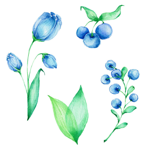 Set of blue flowers and green leaves; watercolor hand draw illustration; can be used for cards and invitations; with white isolated background - Foto, Imagem