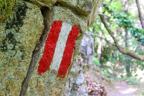 πέτρα με κόκκινο και άσπρο σήμα κοντά με πράσινα βρύα και ρίζες. Υψηλής ποιότητας σπασμένος ογκόλιθος, σπασμένος. - Φωτογραφία, εικόνα