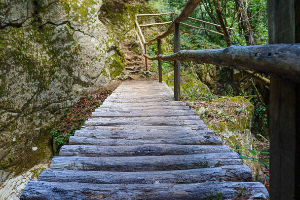houten brug in het bos vol bomen en rivier met wandelpad - Foto, afbeelding