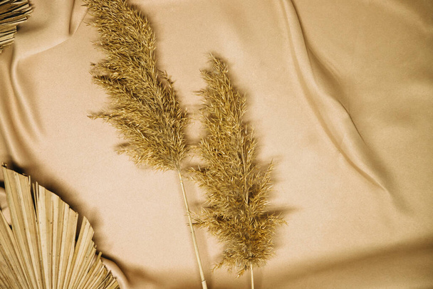 On the folds of the beige fabric are branches of reeds and dry palm leaves. Natural and fashionable colors.Trend of the year.Background and texture.Pompas grass. - Photo, Image
