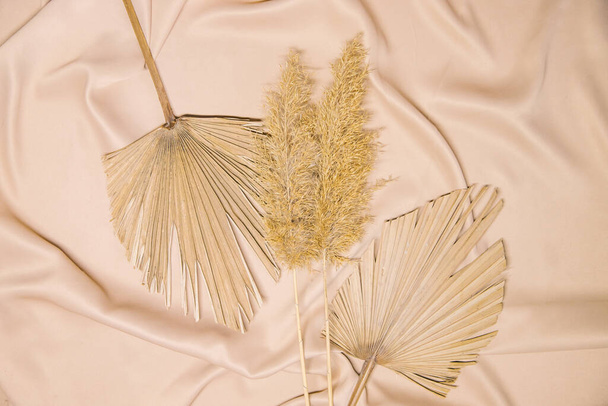 On the folds of the beige fabric are branches of reeds and dry palm leaves. Natural and fashionable colors.Trend of the year.Background and texture.Pompas grass. - Fotoğraf, Görsel