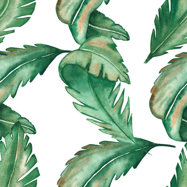 Watercolor hand painted nature tropical seamless pattern with green palm jungle leaves isolated on the white background for summer garden print design, wallpaper and textile - Fotografie, Obrázek