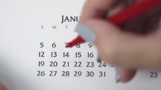 Női kéz kör nap naptár dátum egy piros marker. Üzleti alapok Falinaptár tervező és szervező. JANUÁR 14. - Felvétel, videó