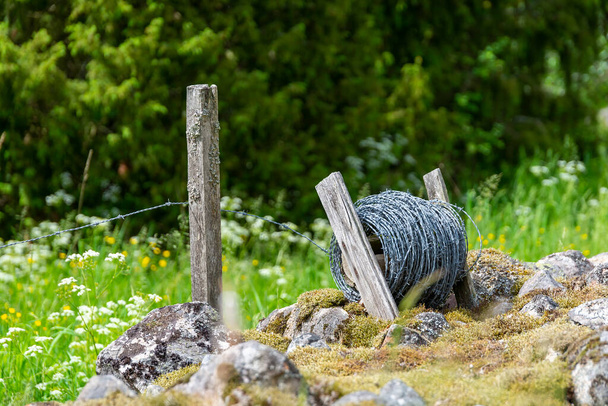 Rollo de alambre de púas en el suelo, hierba verde, construcción de vallas en el campo, seguridad de la granja. - Foto, Imagen