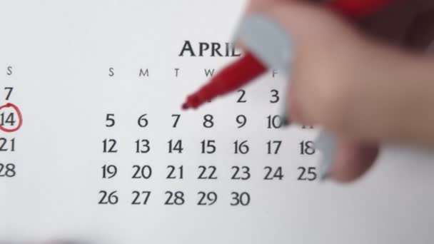 Día de círculo de la mano femenina en la fecha del calendario con un marcador rojo. Conceptos básicos de negocio Wall Calendar Planner and Organizer. 14 DE ABRIL - Imágenes, Vídeo