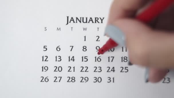 Samice kruh den v kalendářním datu s červenou značkou. Business Basics Wall Calendar Planner and Organizer. 16. LEDNA - Záběry, video