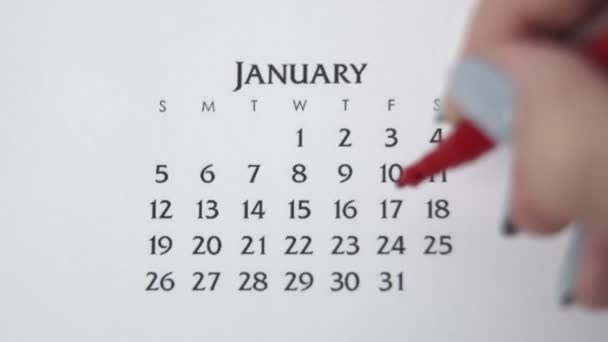 赤いマーカーでカレンダー日付の女性の手の円の日。ビジネスの基本壁カレンダープランナーと主催者。1月17日 - 映像、動画