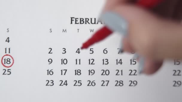 Femme cercle de main jour dans la date du calendrier avec un marqueur rouge. Business Basics Planificateur et organisateur de calendrier mural. 18 FÉVRIER - Séquence, vidéo