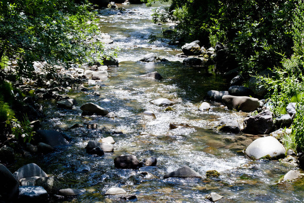 in summer, in the riverbed with a fast mountain stream, stones are visible in the foreground-trees on both banks of the river - Photo, Image