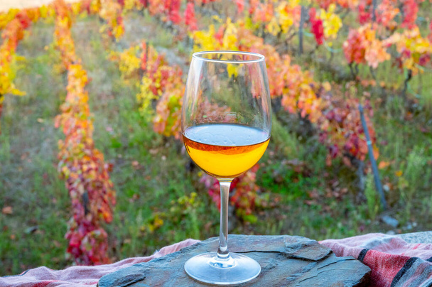 Egy pohár portugál száraz bor, amelyet a Douro-völgyben és a színes régi teraszos szőlőültetvények ősszel, Portugália borvidékén állítottak elő. - Fotó, kép