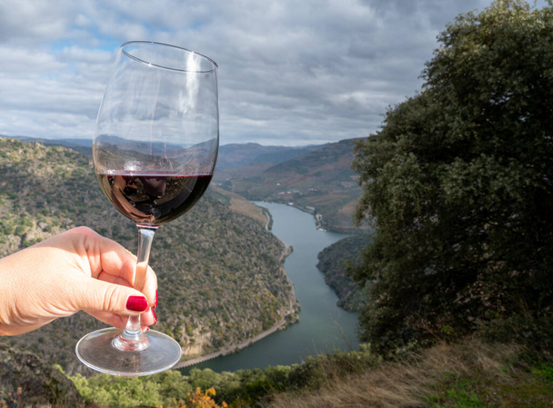 Mano con copa, degustación de vino tinto seco portugués, producido en el valle del Duero y el río Duero con viñedos en terrazas en el fondo en otoño, Portugal - Foto, imagen