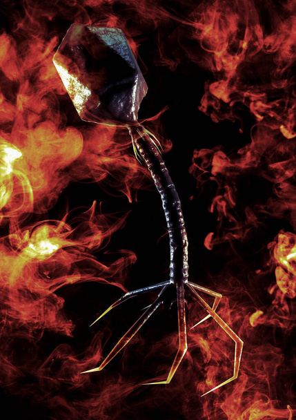 Closeup βακτηριοφάγος ιός επίθεση βακτήρια κύτταρα 3D εικονογράφηση - Φωτογραφία, εικόνα