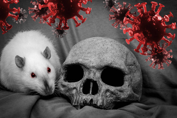 Rat plays with human skull surrounded by coronavirus infection concept - Photo, Image