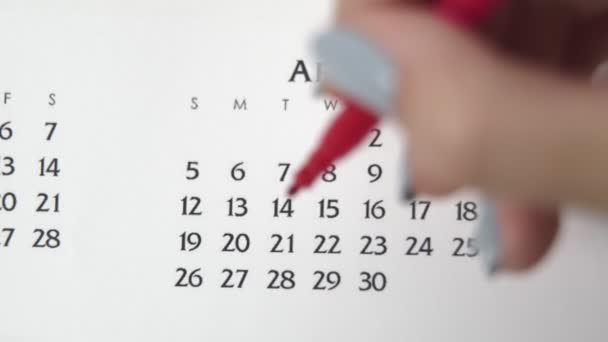 Weiblicher Handkreistag im Kalenderdatum mit roter Markierung. Business Basics Wall Calendar Planer und Organisator. 22. April - Filmmaterial, Video