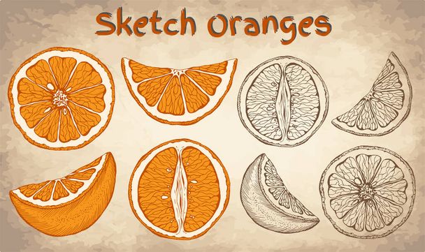 Vektori kuvitus joukko luonnos käsin piirretty värikkäitä appelsiineja ja viipale oranssi. Tuoreet hedelmät, sitrushedelmät, Italia, Espanja, mandariinit. Luonnonmukaisten elintarvikkeiden merkinnät. Vintage tyyli. - Vektori, kuva