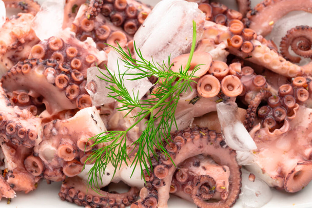 salad with freshness boiled octopus on white tray with dill. Healthy food. Close up - Photo, Image