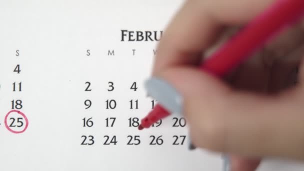 Kobiecy dzień kółka w dniu kalendarzowym z czerwonym markerem. Podstawy biznesu Kalendarz ścienny Planer i Organizator. LUTY 25 lutego - Materiał filmowy, wideo