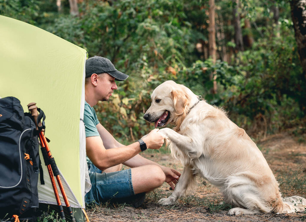 Dog giving paw to man at camp - 写真・画像
