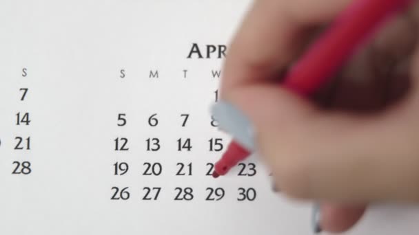 Female hand circle day in calendar date with a red marker. Business Basics Wall Calendar Planner and Organizer. APRIL 29th - Footage, Video