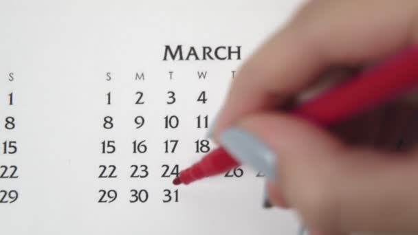 Giorno di cerchio di mano femminile in data di calendario con un marcatore rosso. Business Nozioni di base Wall Calendar Planner e organizzatore. 31 Marzo. - Filmati, video