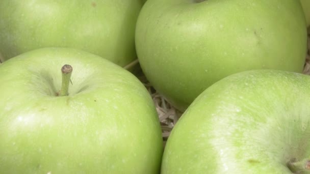Orgaaniset omenat lähikuva. Kypsät hedelmät heinillä. - Materiaali, video