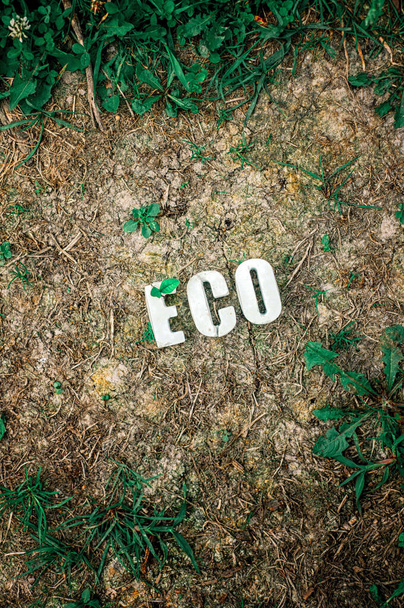 Η λέξη eco. Η λέξη "eco" είναι γραμμένο σε ένα φυσικό γρασίδι φόντο. Τα γράμματα Η τσιμεντένια επιγραφή ECO. Η θέα από την κορυφή - Φωτογραφία, εικόνα