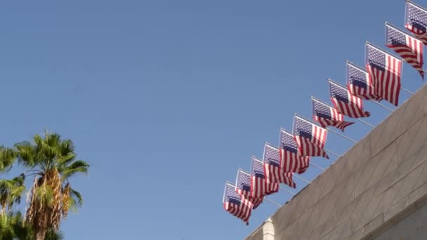 Americké vlajky, radnice v Los Angeles, Kalifornie USA. Palmy a hvězdami poseté prapory, Hvězdy a pruhy. Atmosféra vlastenectví, Městské občanské centrum. Federální vládní orgán a demokracie - Záběry, video