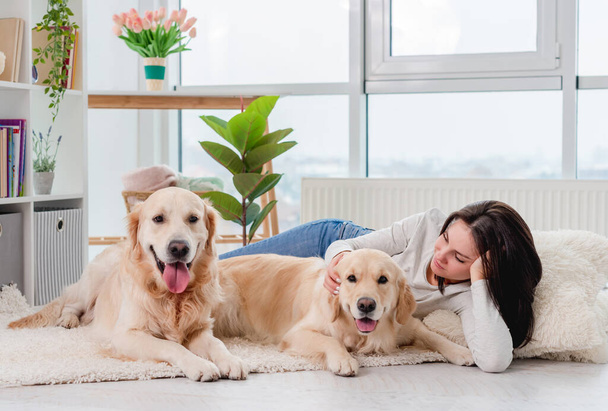 Golden retriever dogs next to girl - Photo, Image
