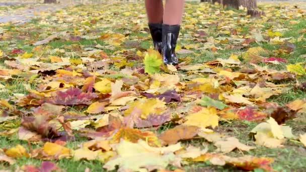Düşen yaprakların üzerinde yürüyen bir kadının bacakları. Soğuk bir sonbahar gününde çizmeli şık kadın bacakları. Parkta sonbahar soğuk günü - Video, Çekim