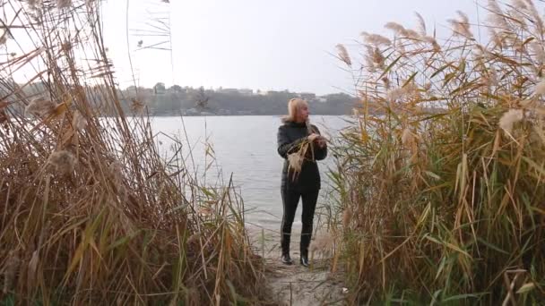 una mujer se para en la orilla del río en las cañas y piensa. estado de ánimo de otoño y depresión - Metraje, vídeo