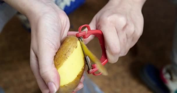 Femme épluche les pommes de terre assis sur une chaise dans la cuisine - Séquence, vidéo