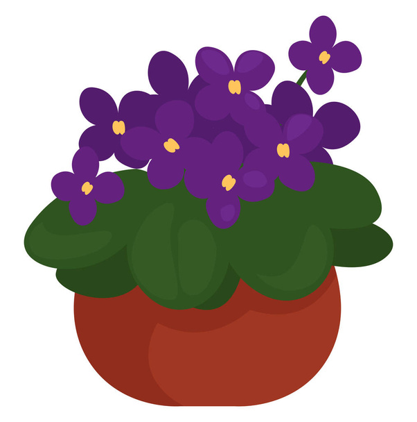 Jolies violettes dans un pot, illustration, vecteur sur fond blanc. - Vecteur, image