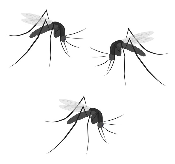 Τρία κουνούπια, εικονογράφηση, διάνυσμα σε λευκό φόντο. - Διάνυσμα, εικόνα