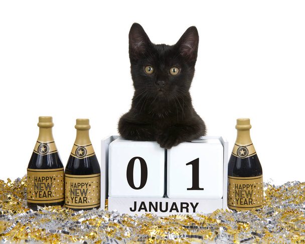Entzückendes schwarzes Kätzchen entspannt auf Kalenderblöcken liegend mit Feiertag für Neujahr, 01. Januar. Isoliert auf Weiß - Foto, Bild