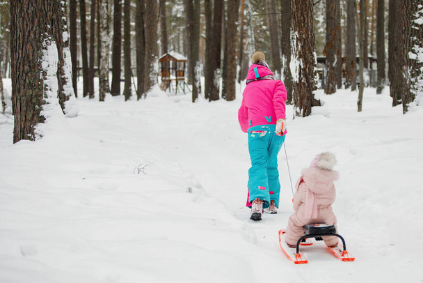 Mom drags her daughter on a sled in the winter snowy coniferous forest. Warm blue, pink jackets, knitted hats. Family happiness, values and traditions. Selective focus. - Photo, Image