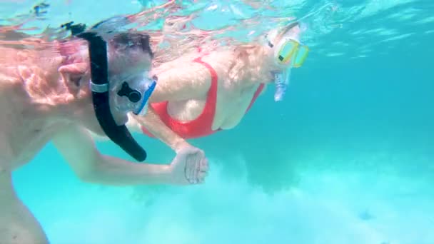 Aktív idősek búvárkodás és úszás a tengeren Bahama-szigetek - Felvétel, videó