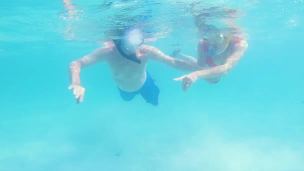 Gepensioneerde blanke Amerikaanse paar snorkelen en zwemmen Bahama 's - Video