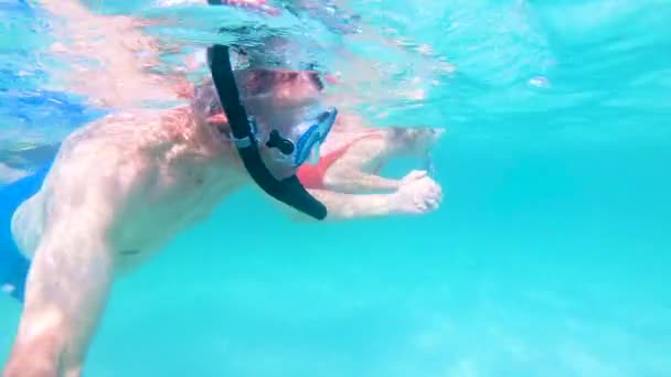 Loving retired Caucasian couple snorkeling and swimming Bahamas - Footage, Video