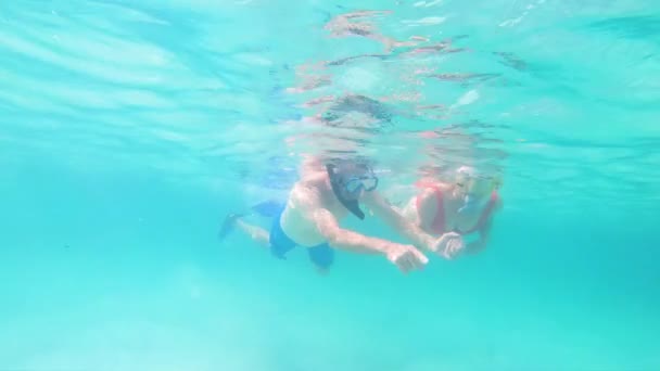 Sain mature couple caucasien plongée avec tuba et la natation Bahamas - Séquence, vidéo