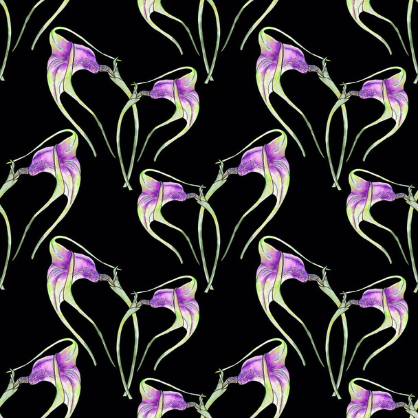 Orchid Masdevallia glandulosa en un arreglo caótico sobre un fondo negro. Dibujo para imprimir en tela o papel. Diseño sin costuras. - Foto, Imagen